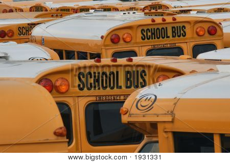 Schulbusse
