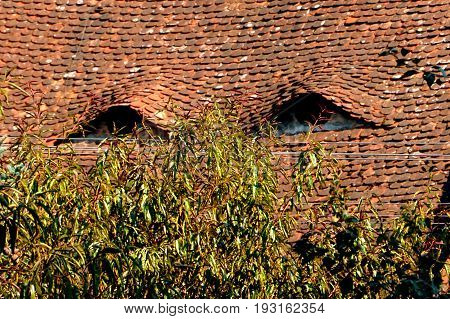 Eyed Roof. Urban Landscape In The Downtown Of The Medieval City Sighisoara, Transylvania