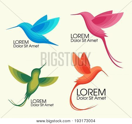 Modern Set . Colorful birds, Colibri in flight, trendy minimalistic template design for logos, emblems, symbols