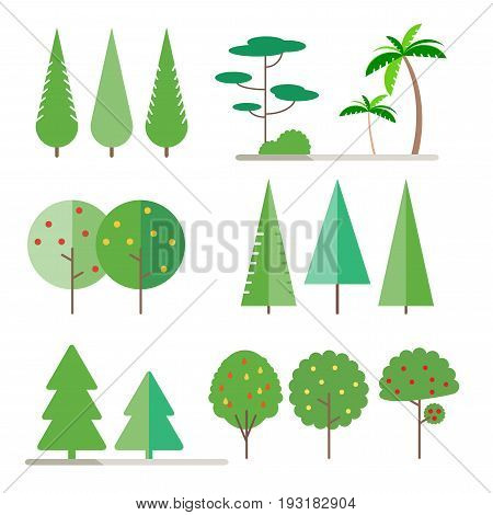Set trees in flat style - spruce, fir-tree, pine, apple, pear, Palm tree. Bush. Vector illustration