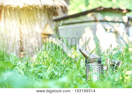 Bee smoker on the grass in apiary garden copyspace nature natural peaceful beekeeping equipment technology working honeycraft concept.