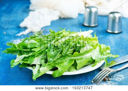 Ruccola