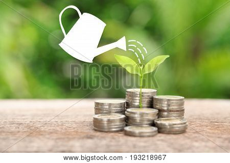 Money and plant with watering can and money tree Saving money concept financial savings to buy a housetrees growing in a sequence of germination on piles of coins Growth business money.