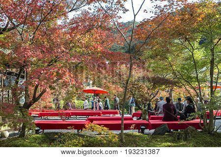 KYOTO JAPAN - 20 NOVEMBER 2015: Seating for watching the leaves change color in the Eikando Zenrin-ji temple. The temple is very famous for its autumn colors in Japan