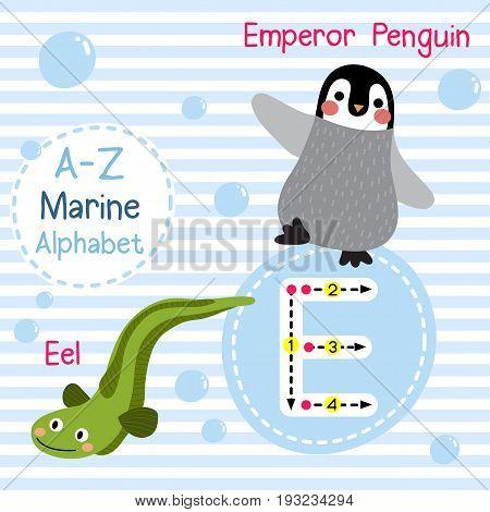 Cute children sea alphabet flashcard of funny marine animal cartoon E letter tracing for kids learning English vocabulary vector illustration.