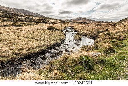 Stream At Torc Mountain