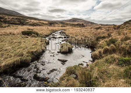 Stream at Torc Mountain in Killarney National Park