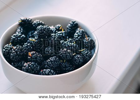 Summer berries in a pialat on white background close-up