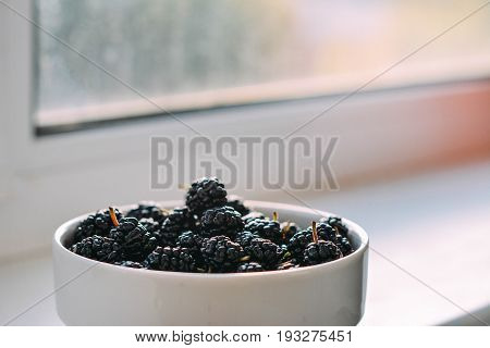 Summer berries in a pialat on colour background close-up