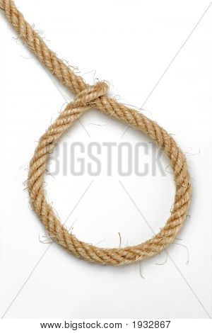 Loop