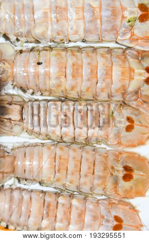 Mantis Shrimps Oratosquilla Oratoria Food Ingredient Cooking