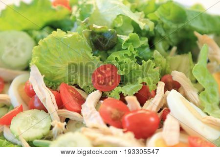 Healthy food fresh salad with green lettuce and red tomato close up.