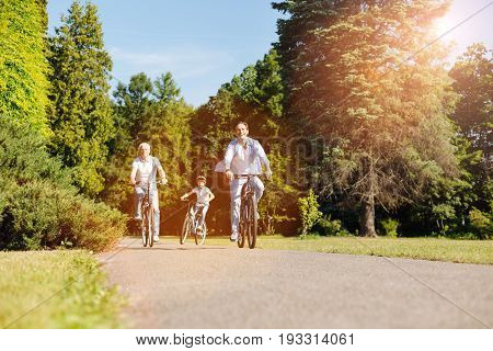 Learning new paths. Adorable dynamic witty guys taking new routes while exploring the nature and riding bicycles