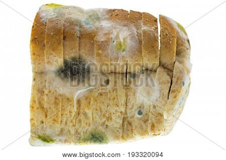 Closeup texture of black yellow blue molds on molded old wholewheat bread isolated on white background