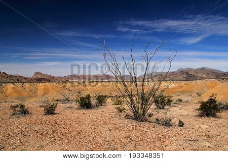 Scenic Southwestern Landscape in Big Bend National Park, Texas