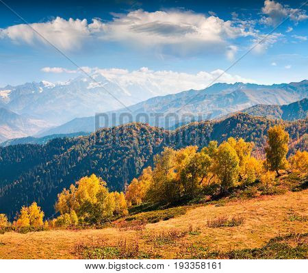 Colorful morning in the Caucasus mountains. Sunny autumn scene on the Mt. Mkheer foothills Upper Svaneti Georgia Europe. Artistic style post processed photo.