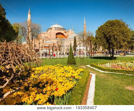 Colorful Spring Scene In Sultan Ahmet Park In Istanbul, Turkey, Europe.