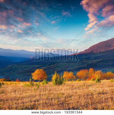 Splendid Autumn Scene In The Mountain Village.