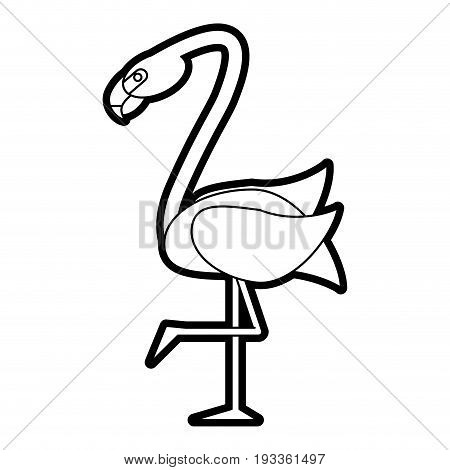 Exotic animal swan paint vector illiustration design graphic