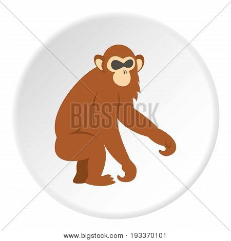 Dusky leaf monkey icon in flat circle isolated on white background vector illustration for web