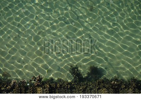 Rippling Turquoise Sea Water and Sand bordered by seaweed background