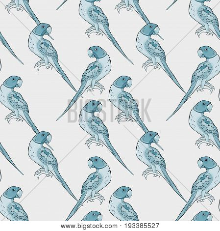 Seamless Pattern Indian Ringed Parrot Ozherelovy Parrot  Vector Illustration