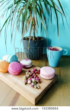 Beautiful French Macarons And Aroma Cappuccino Cup On Table With Plant In Vase. Blue Wall Background