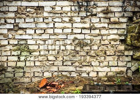 Fragment of an old brick wall. Ruin.