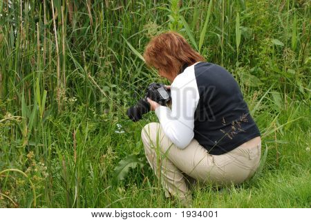 Květiny fotograf