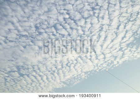 White Cirrocumulus cloud spread on blue sky.