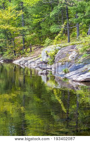 Rocks And Forest Of The Canadian Shield Reflecting In Clean Lake Water