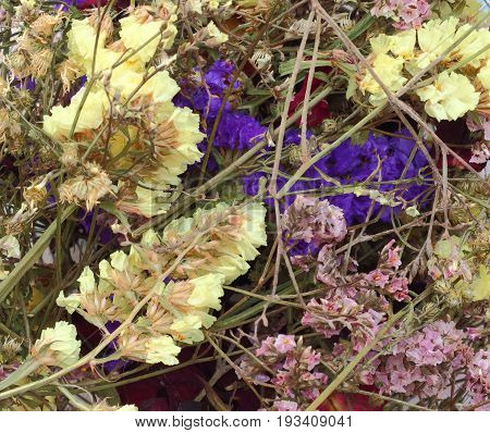 Abstract background of colorful dry flower in basket.
