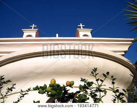 Carissa carandas near Greek Orthodox Church of the Seven Apostles in Kapernaum Israel