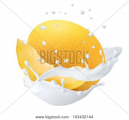 Yellow Honeydew Melon in a milk splash. Vector