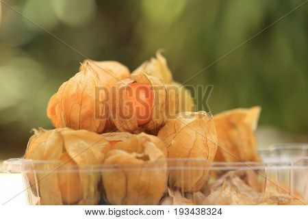 Cape gooseberry fruit brown autumn crops on green spring bokeh background with copyspace.