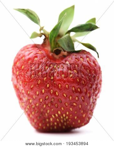 Non ideal ripe organic strawberry isolated closeup