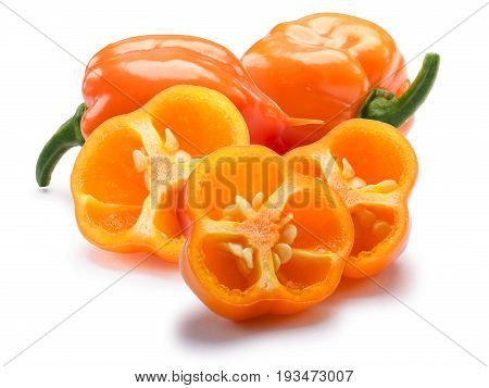 Orange Habanero Chiles, Paths