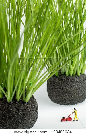 miniature women is going to cut the grass