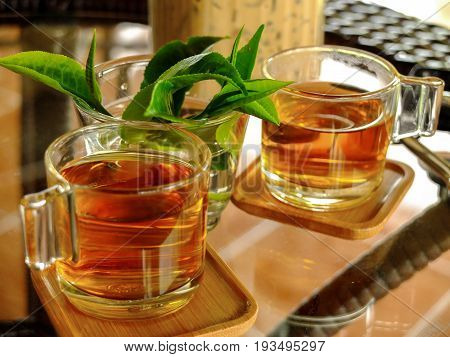 Tea beverage in tea cup on background
