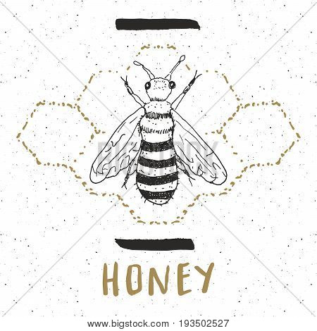 Vintage label Hand drawn bee grunge textured badge retro logo template typography design vector illustration.