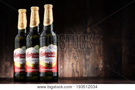 Bottles Of Budweiser Budvar Beer
