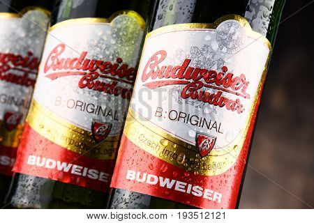 Bottles Of Budweiser Budvar Beer
