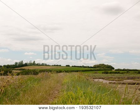 Stock Photo - Inland Country Scene In Harwich Felixstowe Essex Uk England No People Farm