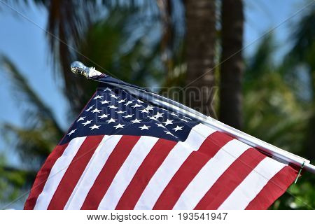 American flag flying with palm tree background