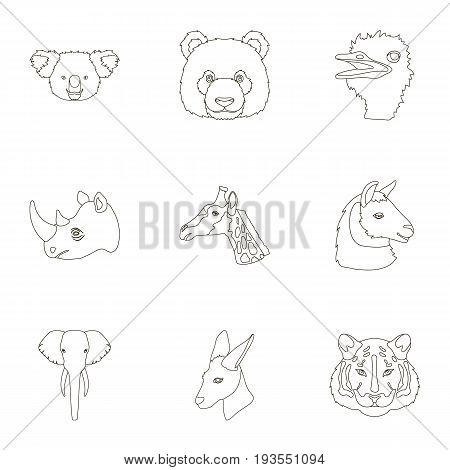 A set of icons of wild animals. Predatory and peaceful wild animals.Realistic animal icon in set collection on outline style vector symbol stock web illustration.