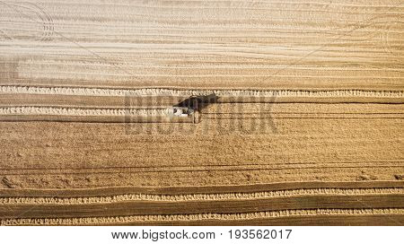Harvester machine working in field . Combine harvester agriculture machine harvesting golden ripe wheat field. Agriculture. Aerial view. From above.