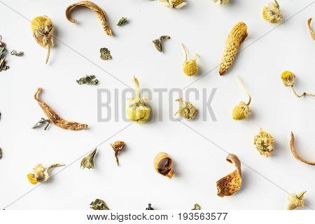 Top view of dry herb on white background desk for mockup collection of diverse angle.