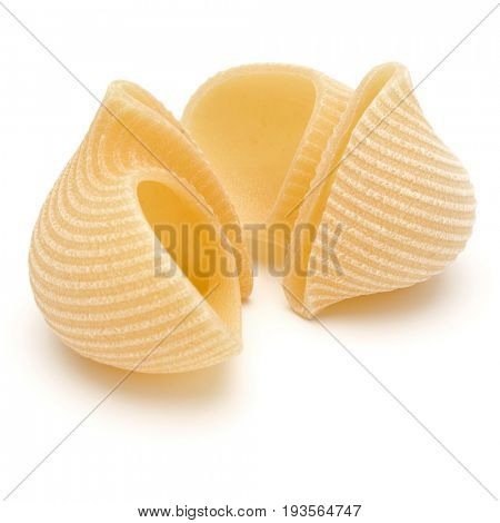 Italian lumaconi isolated on white background. Lumache, snailshell shaped pasta.