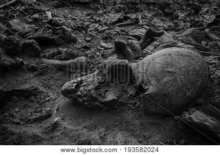 Mass grave of soldiers killed during World War II. Kakhovka. Ukraine.