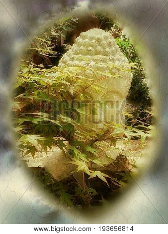 free composition of siddartha Buddha and a forest of maple trees
